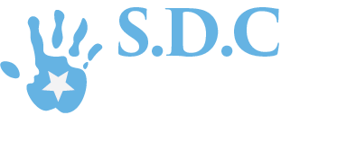 Consultant on investing in Somalia. Encourage Somali Diaspora in investing in 4 sectors.